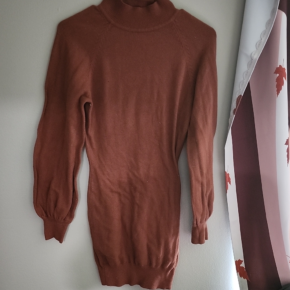 Women's Brown Turtle Neck Dress
